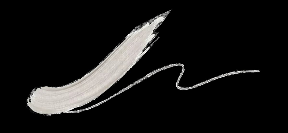Artistic brush stroke signature